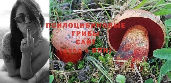 бутират Алзамай